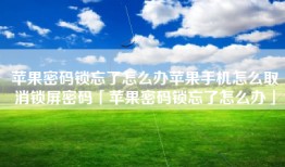 苹果密码锁忘了怎么办苹果手机怎么取消锁屏密码「苹果密码锁忘了怎么办」