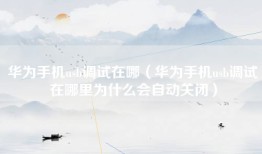 华为手机usb调试在哪（华为手机usb调试在哪里为什么会自动关闭）