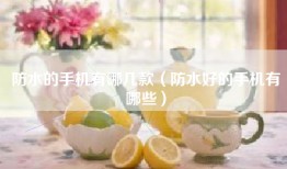 防水的手机有哪几款（防水好的手机有哪些）