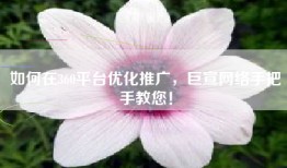 如何在360平台优化推广，巨宣网络手把手教您！