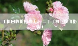 手机回收价格表（vivo二手手机回收价格表）