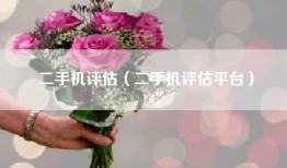 二手机评估（二手机评估平台）