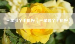 三星那个手机好（三星哪个手机好）