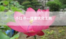 小红书seo搜索优化工具