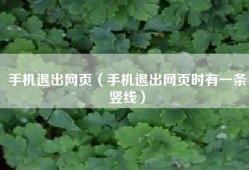 手机退出网页（手机退出网页时有一条竖线）