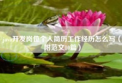 java开发岗位个人简历工作经历怎么写（附范文10篇）