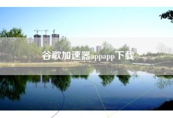 谷歌加速器appapp下载