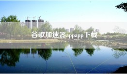 谷歌加速器appapp下载