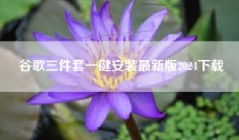 谷歌三件套一键安装最新版2024下载