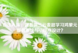 由浅入深：跟着微三云麦超学习鸿蒙元服务系统与小程序设计？