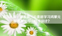 由浅入深：跟着微三云麦超学习鸿蒙元服务系统与小程序设计？