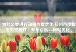 为什么要进行郑州百度优化,郑州百度优化的重要性「郑州百度seo网站优化」