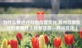 为什么要进行郑州百度优化,郑州百度优化的重要性「郑州百度seo网站优化」