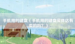 手机用的键盘（手机用的键盘实体店有卖的吗？）