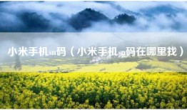 小米手机sn码（小米手机sn码在哪里找）
