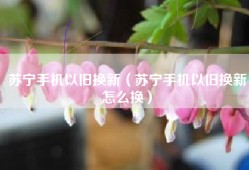 苏宁手机以旧换新（苏宁手机以旧换新怎么换）