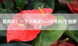 超高效！一下子搞定Excel序号的5个函数公式~