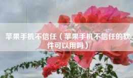 苹果手机不信任（苹果手机不信任的软件可以用吗）