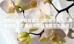 苹果自动旋转屏幕怎么取消手机怎么调横竖屏「苹果自动旋转屏幕怎么取消」