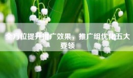 全方位提升推广效果，推广组优化五大要领