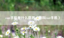 root手机是什么意思（啥叫root手机）
