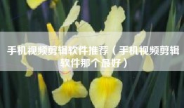 手机视频剪辑软件推荐（手机视频剪辑软件那个最好）
