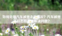 如何处理汽车被拖走的情况？汽车被拖走后怎样尽快解决问题？