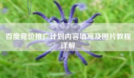 百度竞价推广计划内容填写及图片教程详解
