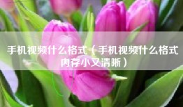 手机视频什么格式（手机视频什么格式内存小又清晰）