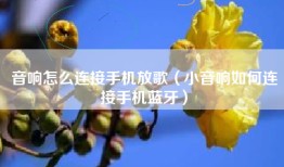 音响怎么连接手机放歌（小音响如何连接手机蓝牙）