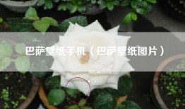 巴萨壁纸手机（巴萨壁纸图片）
