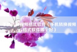 手机转换视频格式软件（手机转换视频格式软件哪个好）