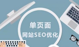 网站SEO的重要性与作用（让你的网站更具竞争力）