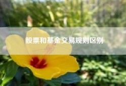 股票和基金交易规则区别