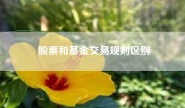 股票和基金交易规则区别