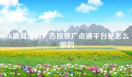 NK鹿茸加粉广告投放广点通平台是怎么做的