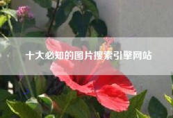 十大必知的图片搜索引擎网站