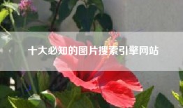十大必知的图片搜索引擎网站