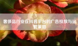 奢侈品行业在抖音平台的广告投放与运营策略