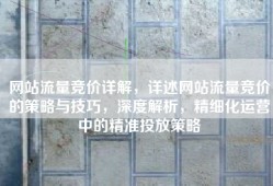 网站流量竞价详解，详述网站流量竞价的策略与技巧，深度解析，精细化运营中的精准投放策略
