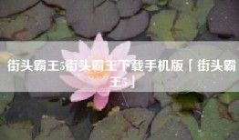 街头霸王5街头霸王下载手机版「街头霸王5」