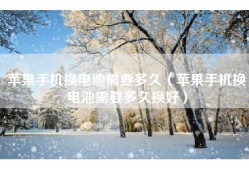 苹果手机换电池需要多久（苹果手机换电池需要多久换好）
