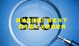 网站优化推广排名与下载牛霸 G 关键词软件