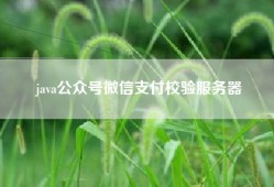 java公众号微信支付校验服务器