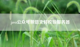 java公众号微信支付校验服务器