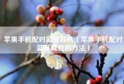 苹果手机配对蓝牙耳机（苹果手机配对蓝牙耳机的方法）