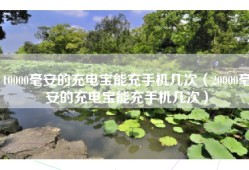 10000毫安的充电宝能充手机几次（20000毫安的充电宝能充手机几次）