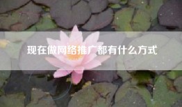 现在做网络推广都有什么方式