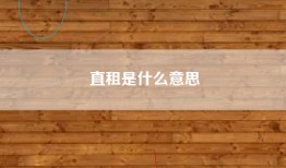 直租是什么意思