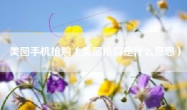 美图手机抢购（美图抢购是什么意思）